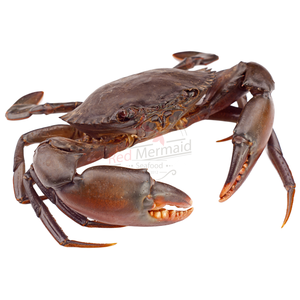 CRAB