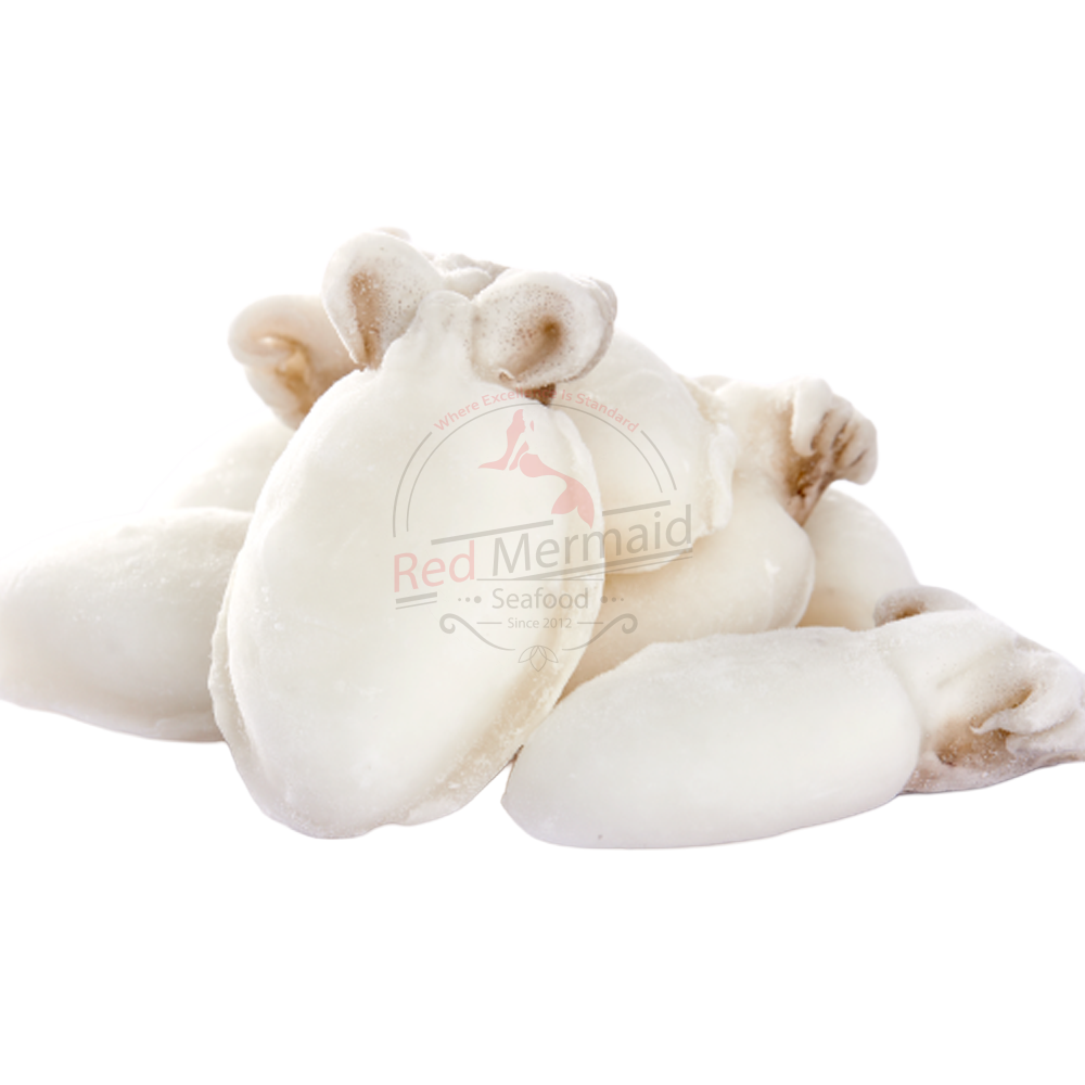 Whole Cleaned - Cuttlefish