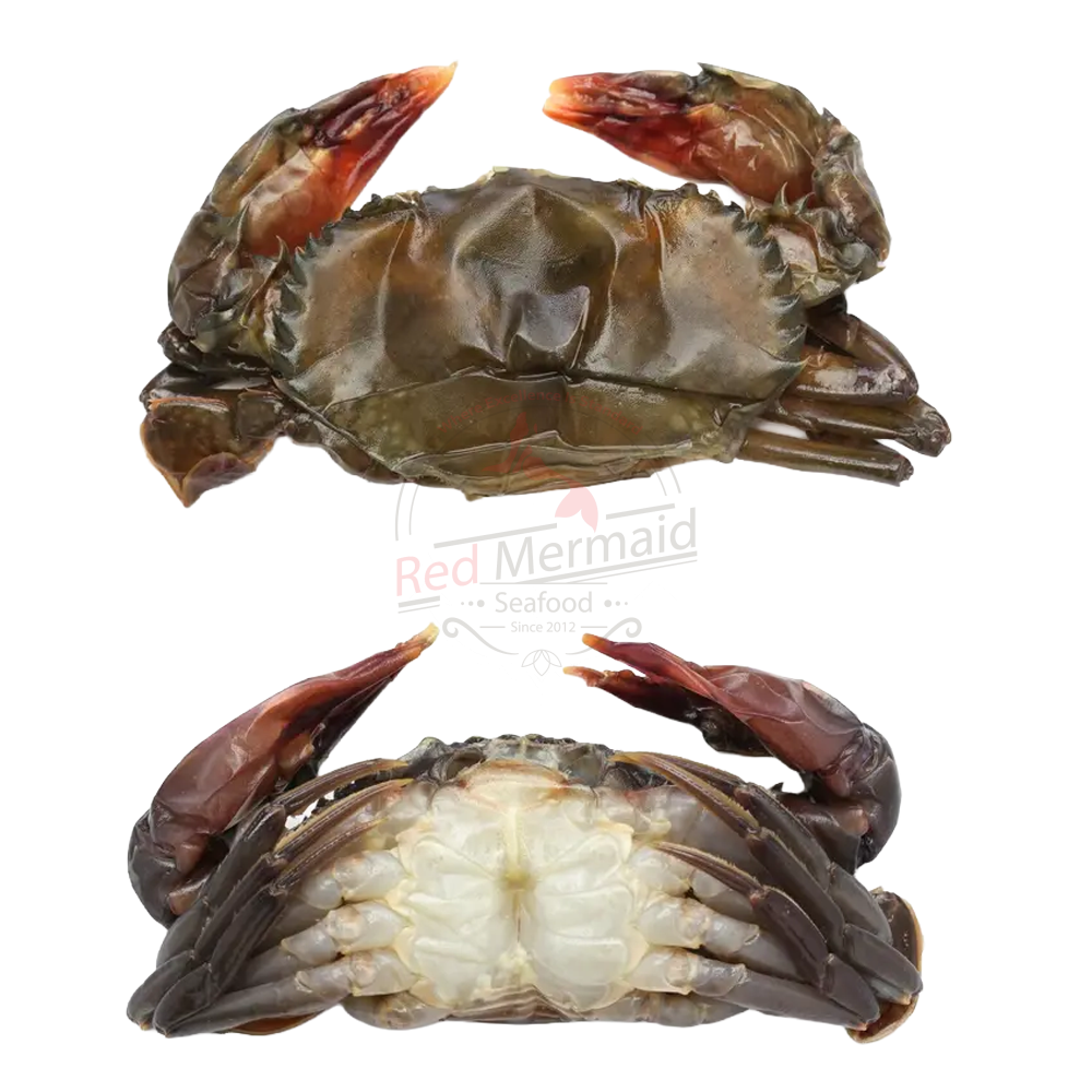 Whole Round - Soft Shell Crab