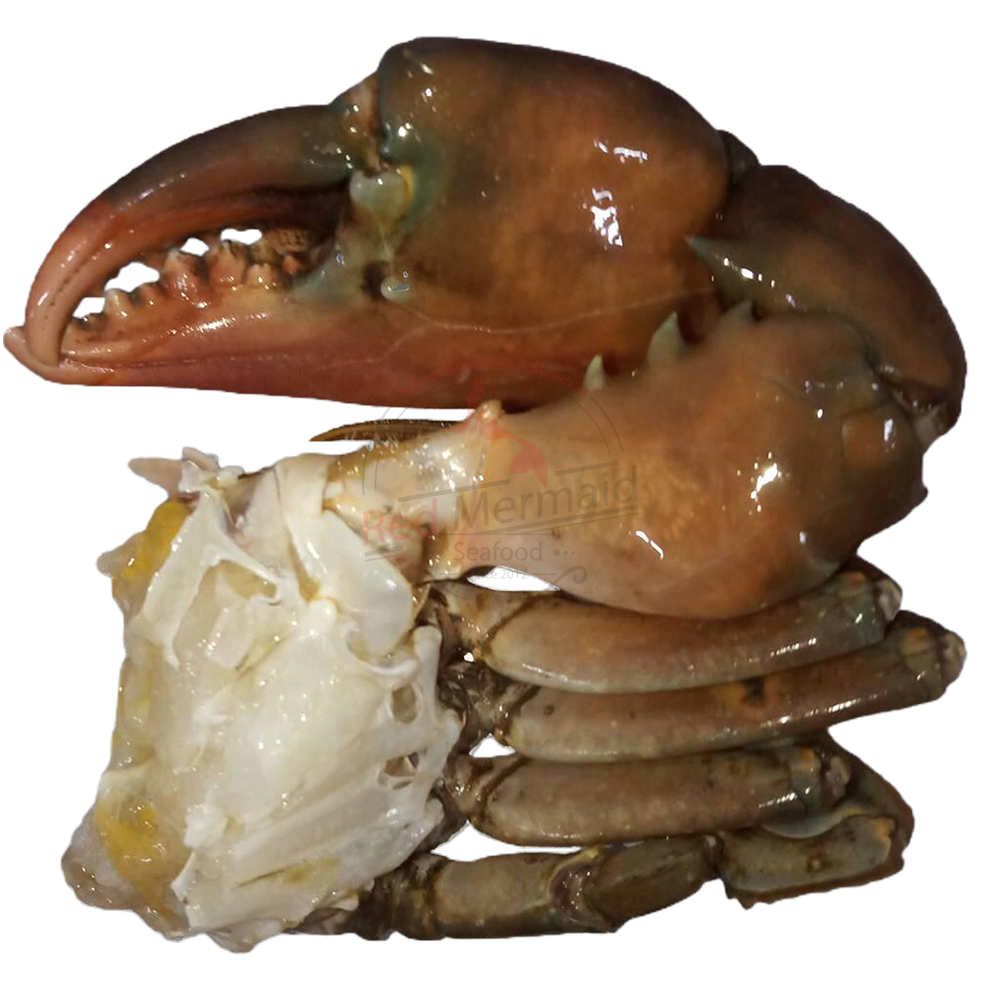 Half Cut - Mud Crab