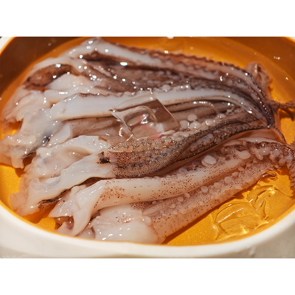 Tentacle - Squid
