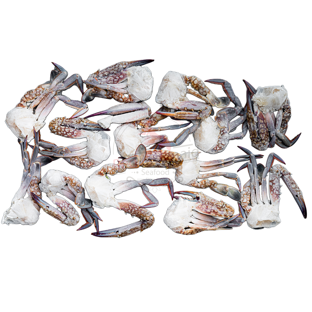 HALF CUT - BLUE SWIMMING CRAB