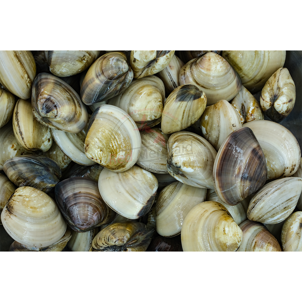 Honey Clams
