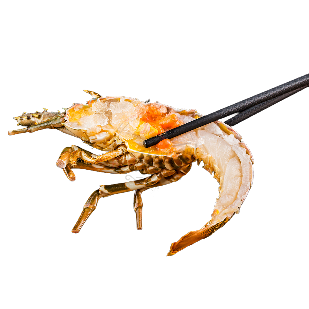 Split - Lobster