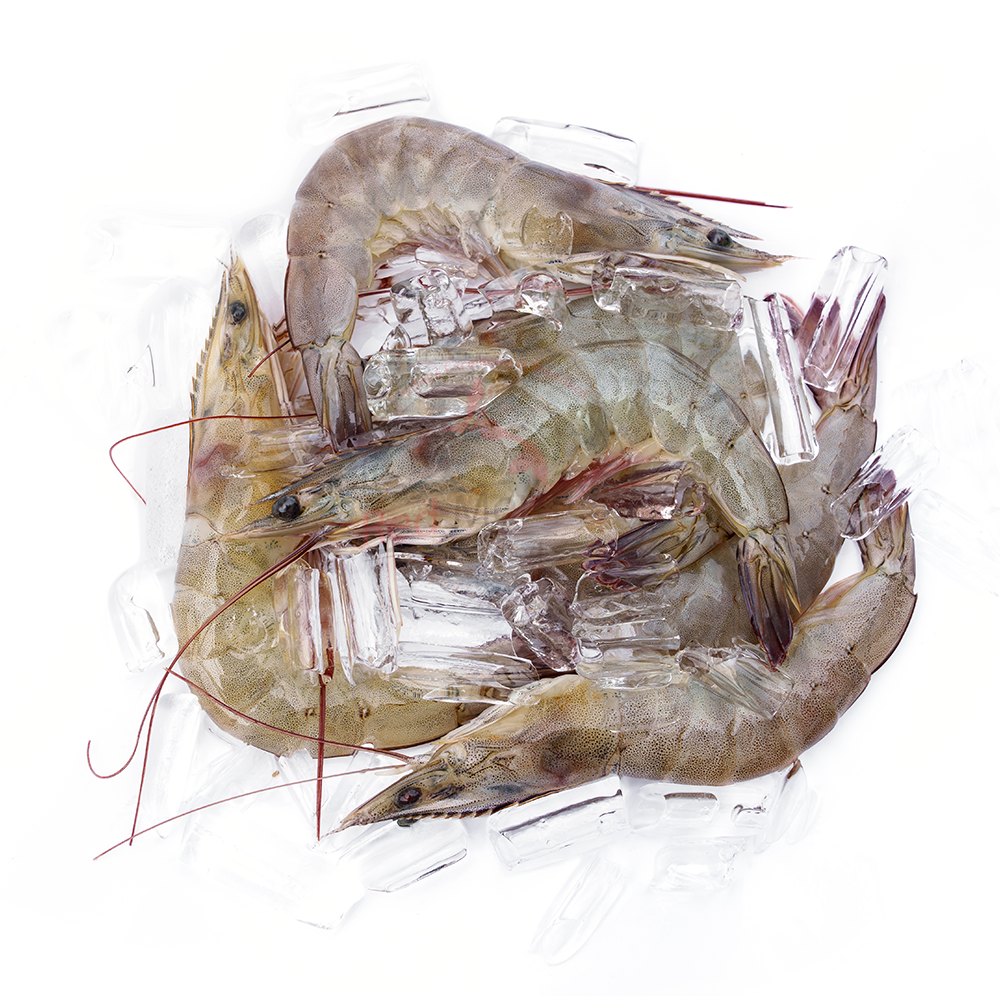 Prawns