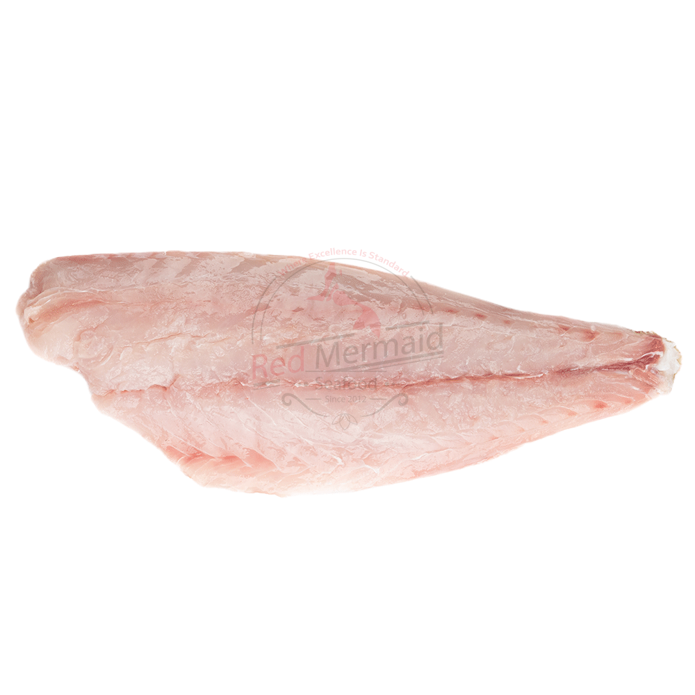Grouper Fillet