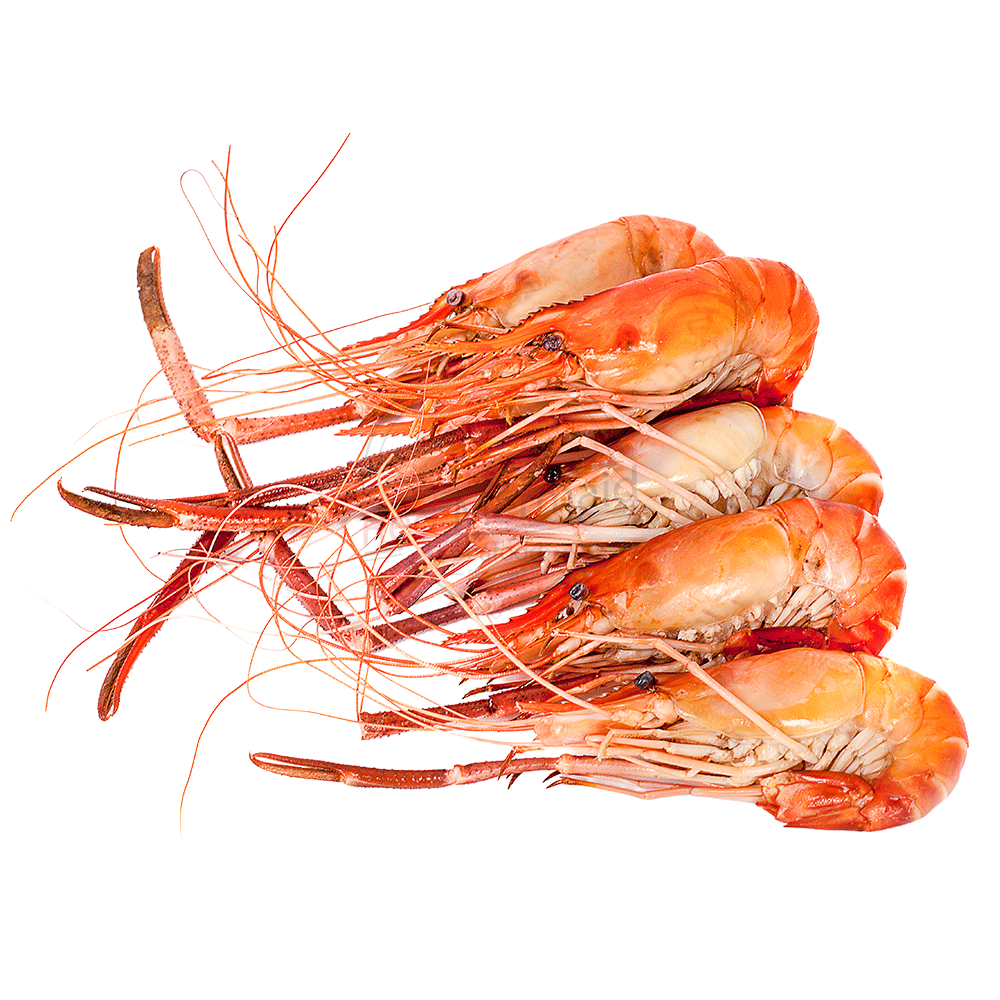 Cooked Fresh Water Scampi - Prawns